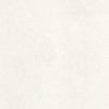 NEUTRAL EVAN ICE - immagine 5
