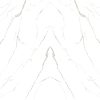 SECEDA - Image 4